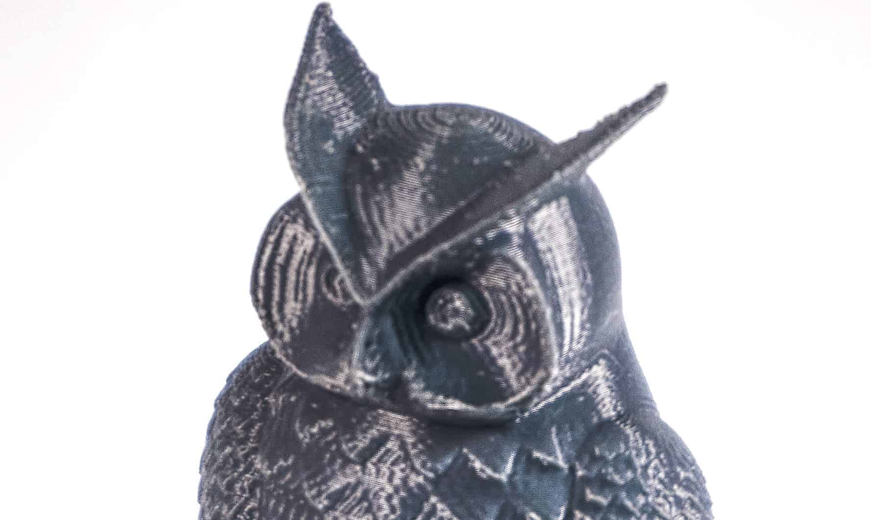 Owl-Up-Close-Large